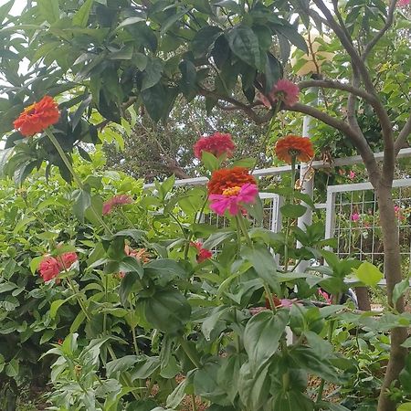 Garden Rooms Himare Bagian luar foto